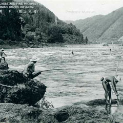 郡上鮎釣り